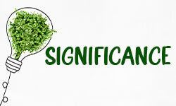 How to Argue Significance Effectively - Mark Roose